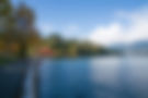 fees-