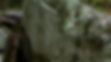 chinese_counselling_image_header.png