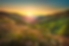 AdobeStock_293895708.png