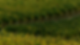personal_growth_header_edited.png