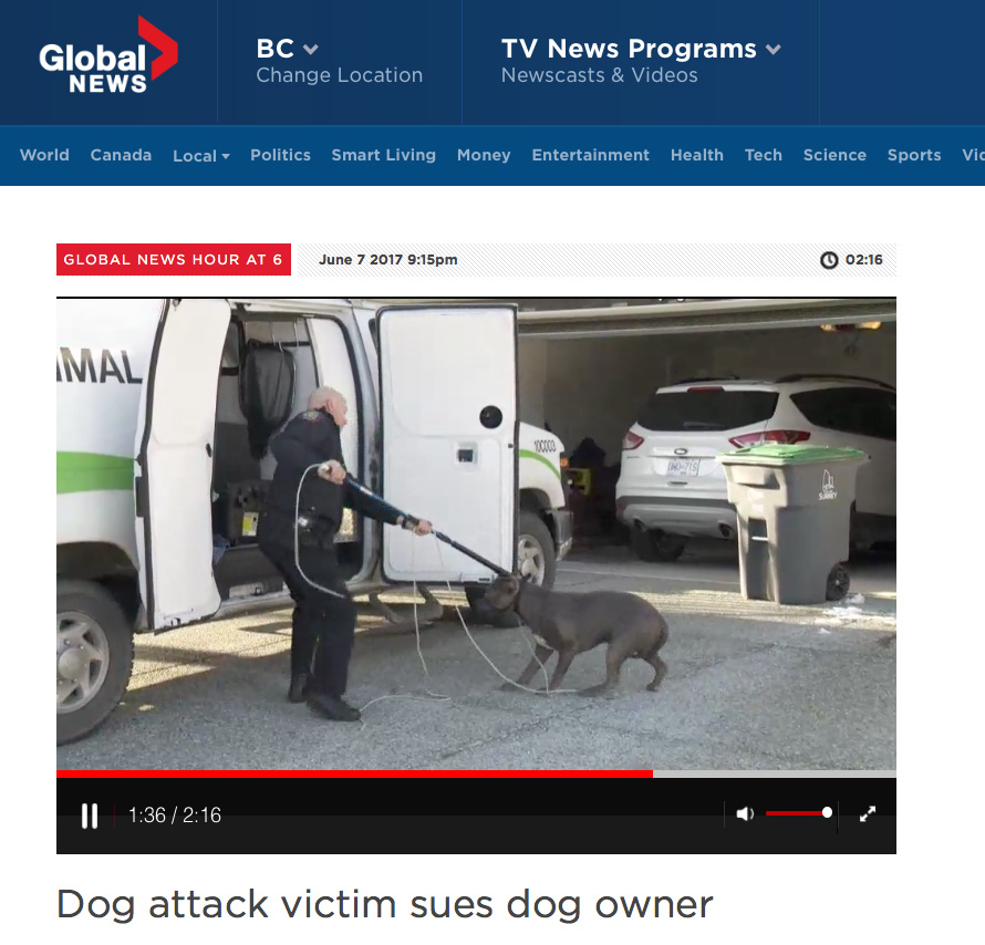Global News - Dog attack victim sues dog owner